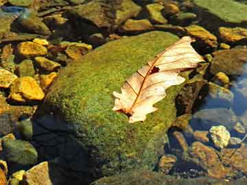 東風(fēng)41導(dǎo)彈的制導(dǎo)方式及其技術(shù)優(yōu)勢，東風(fēng)41導(dǎo)彈的制導(dǎo)方式與技術(shù)優(yōu)勢解析